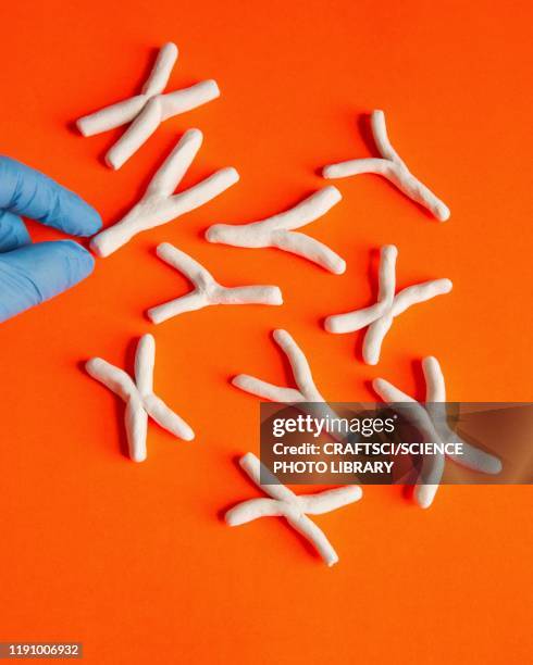 genetic research, conceptual image - chromosome stock-fotos und bilder