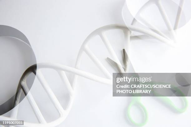 46 Dna Snips Stock Photos, High-Res Pictures, and Images - Getty Images