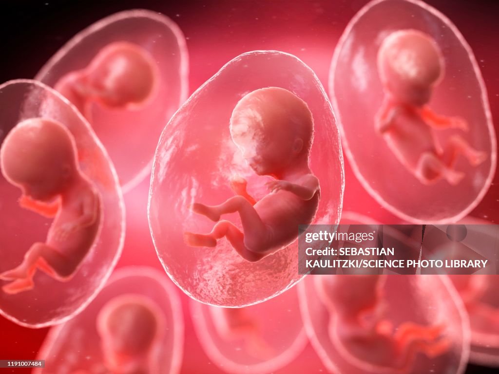 Cloning, conceptual illustration