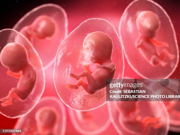 cloning, conceptual illustration - infertility stock illustrations