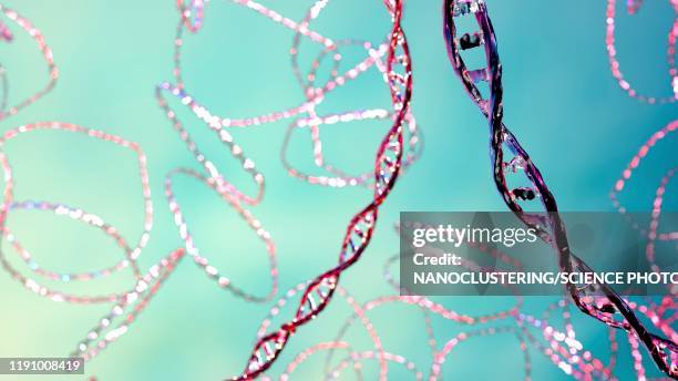 illustrazioni stock, clip art, cartoni animati e icone di tendenza di plasmids, illustration - plasmidio