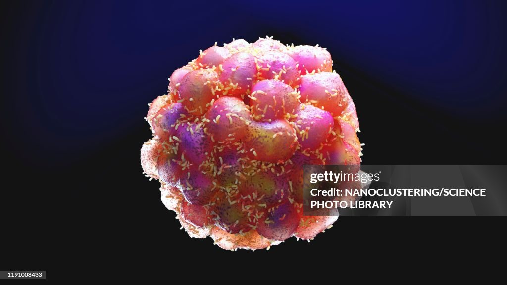Tumour, illustration