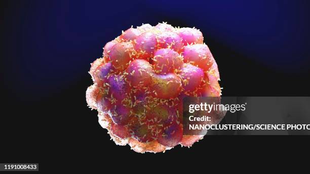 illustrazioni stock, clip art, cartoni animati e icone di tendenza di tumour, illustration - cancro tumore