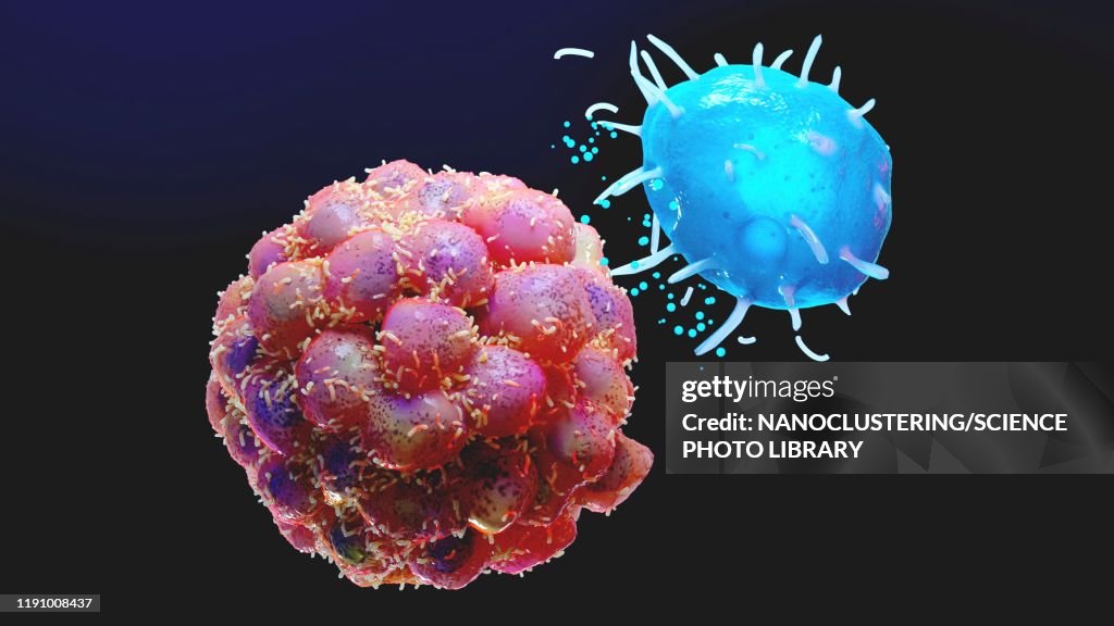 Mast cell and tumour, illustration