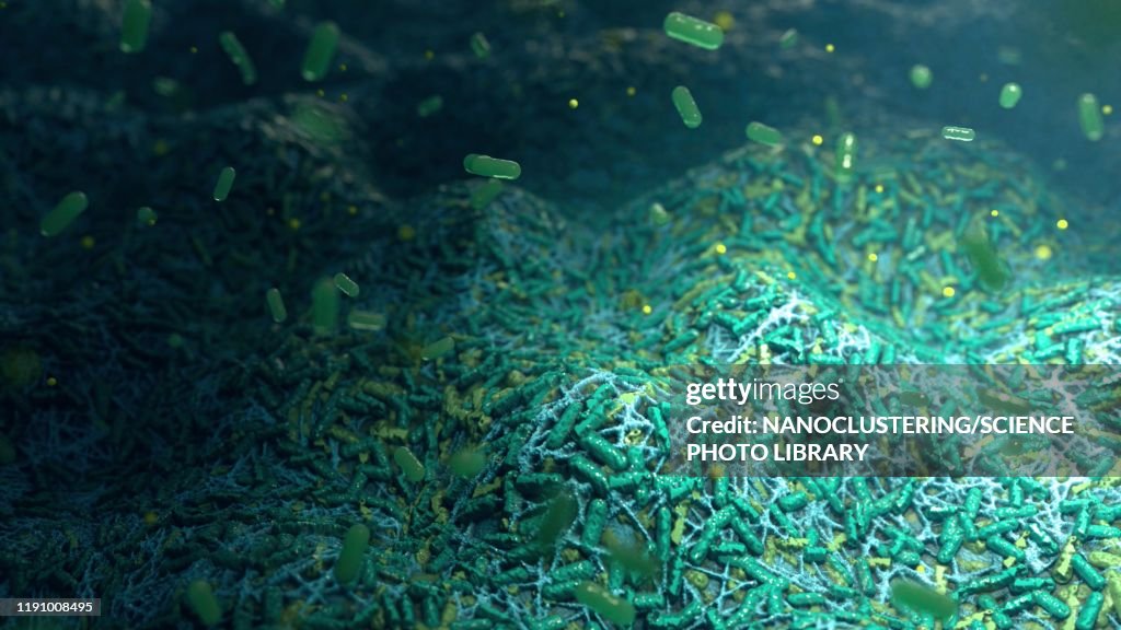 Biofel M Biofilm Formation Illustration High-Res Vector Graphic - Getty Images