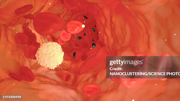 neutrophil immune response, illustration - sepsis stock illustrations
