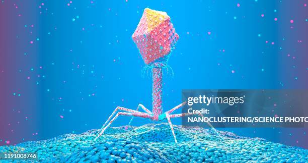 bacteriophage on bacterium, illustration - バクテリオファージ点のイラスト素材／クリップアート素材／マンガ素材／アイコン素材