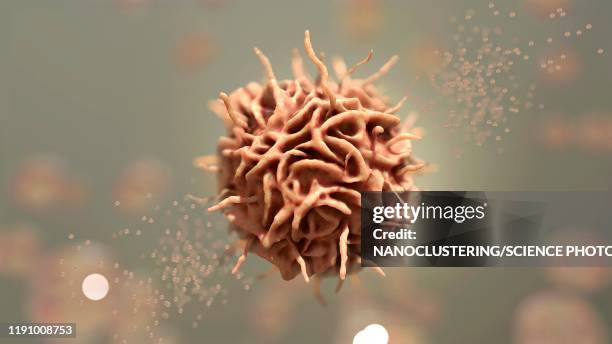 dendritic cell, illustration - armored personnel carrier stock illustrations