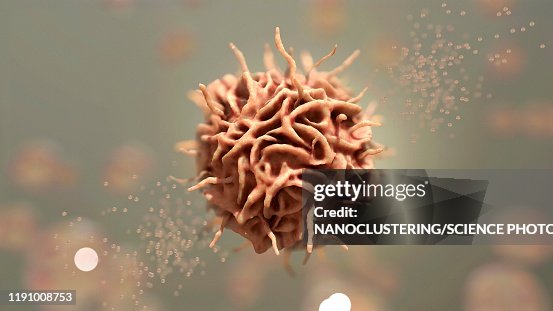 Dendritic cell, illustration Dendritic cell, illustration