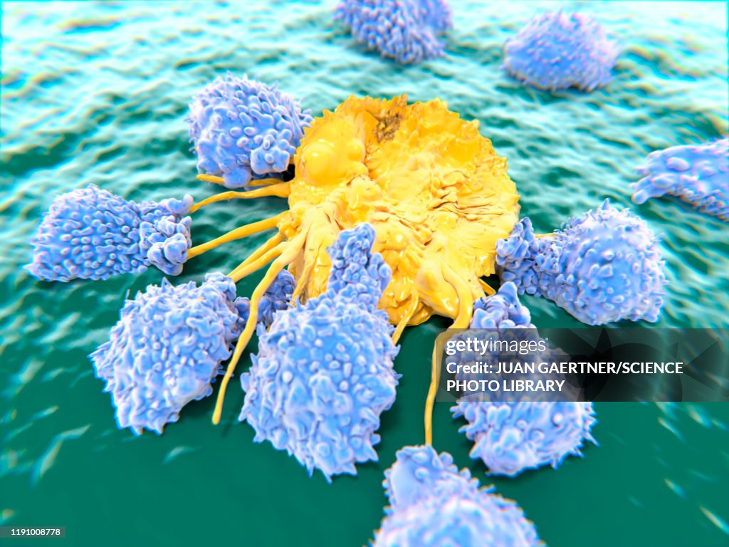 Lymphocytes attacking a cancer cell, illustration