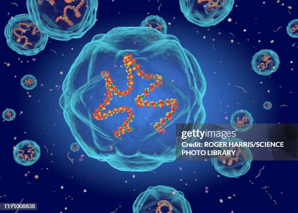 coxsackie virus structure, illustration - hepatitis 幅插畫檔、美工圖案、卡通及圖標