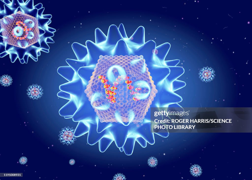 Hanta virus structure, illustration