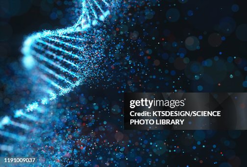 DNA molecule, illustration DNA molecule, illustration
