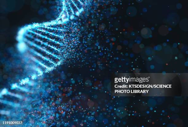 dna molecule, illustration - recherche génétique photos et images de collection