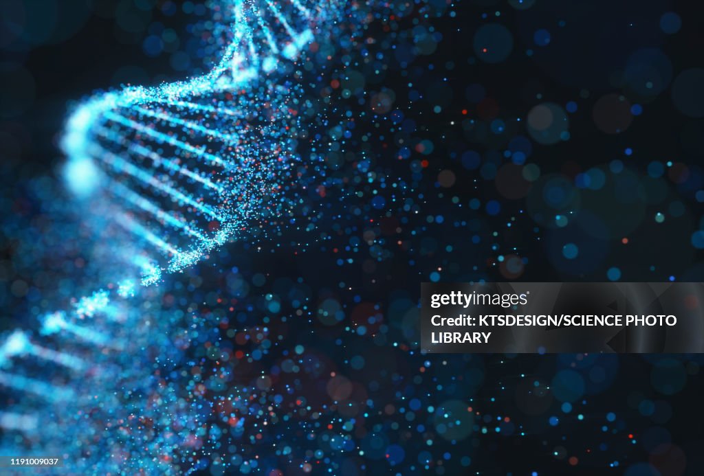 DNA molecule, illustration