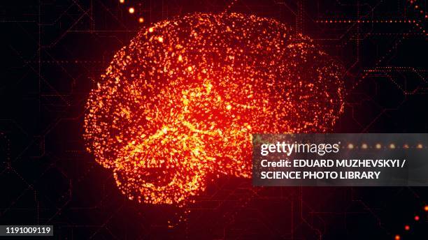 Brain Scan Learning Brain Scans Learning Photos and Premium High Res Pictures - Getty Images