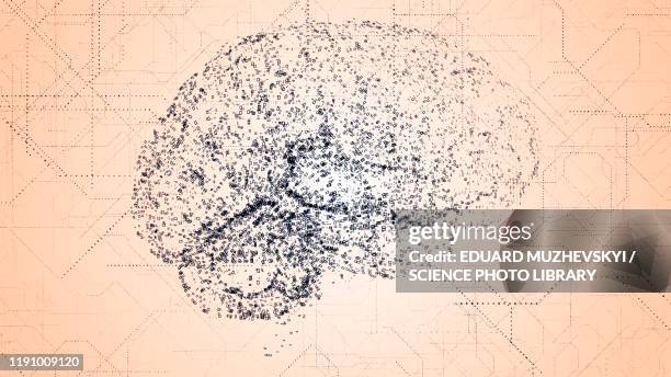 Brain Scan Learning 195 Brain Scans Learning Stock Photos, High-Res Pictures, and Images ...