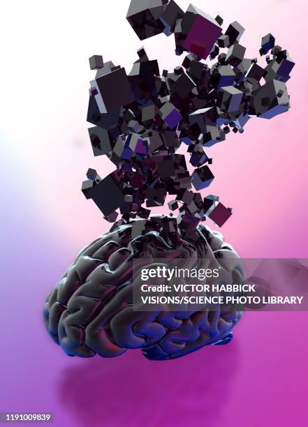 human brain, illustration - brain memory stock illustrations