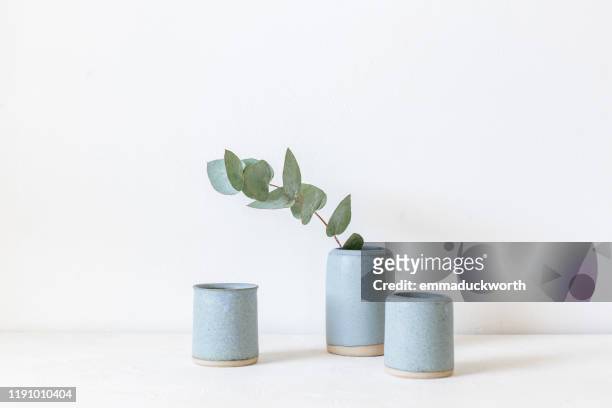 eucalyptus in a ceramic vase - 花瓶 個照片及圖片檔