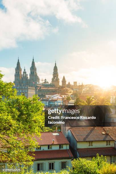 santiago de compostela cathedral at sunrise, park and sunny sky, copy space. galicia, spain - santiago de compostela - fotografias e filmes do acervo