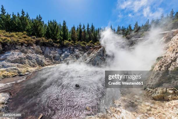 hell's gate, geothermal park, tikitere, rotorua, north island, new zealand - new zealand volcano stock pictures, royalty-free photos & images