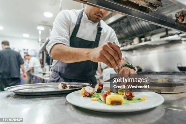 chef garnishing plate with food - chef kitchen stockfoto's en -beelden