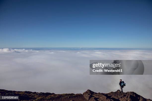 hiker on viewpoint looking at distance, ponta do pico, azores, portugal - pico azores imagens e fotografias de stock