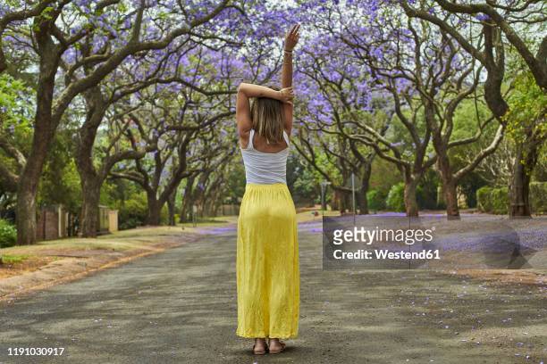 woman in the middle of a street full of jacaranda trees in bloom, pretoria, south africa - falda de flores fotografías e imágenes de stock