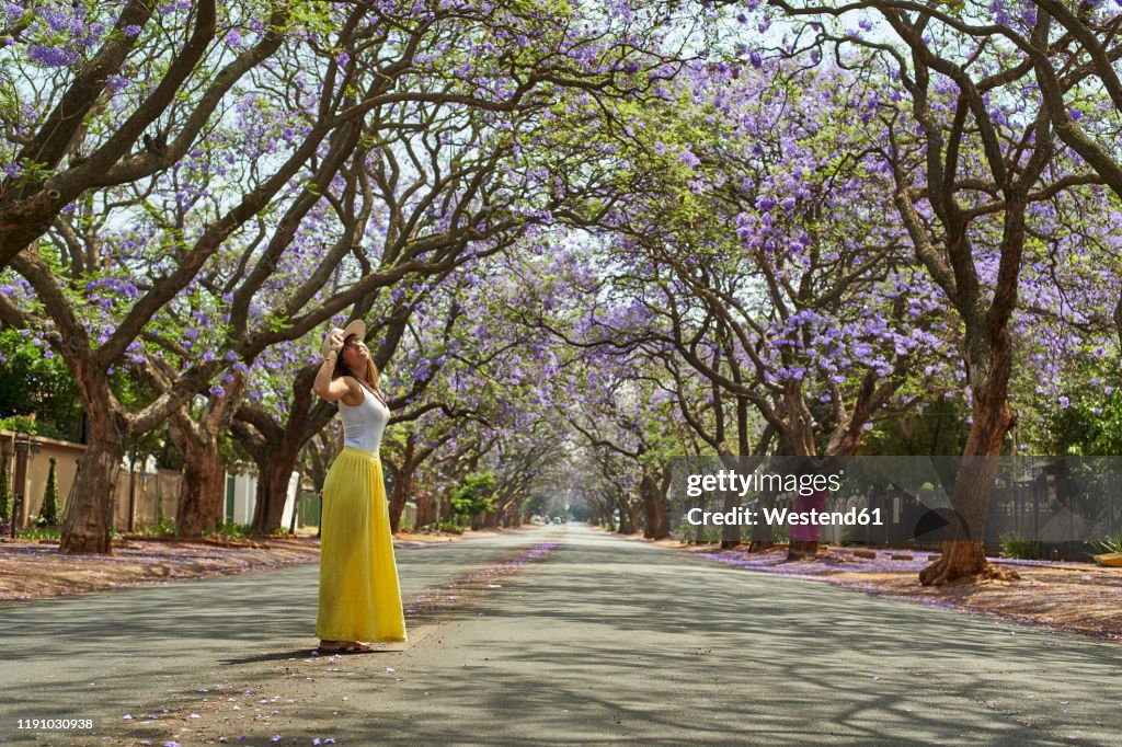 Woman wearing a hat, standing in the middle of a street full of jacaranda trees in bloom, Pretoria, South Africa