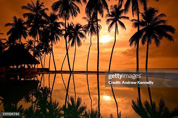 morning reflections - kikambala stock pictures, royalty-free photos & images