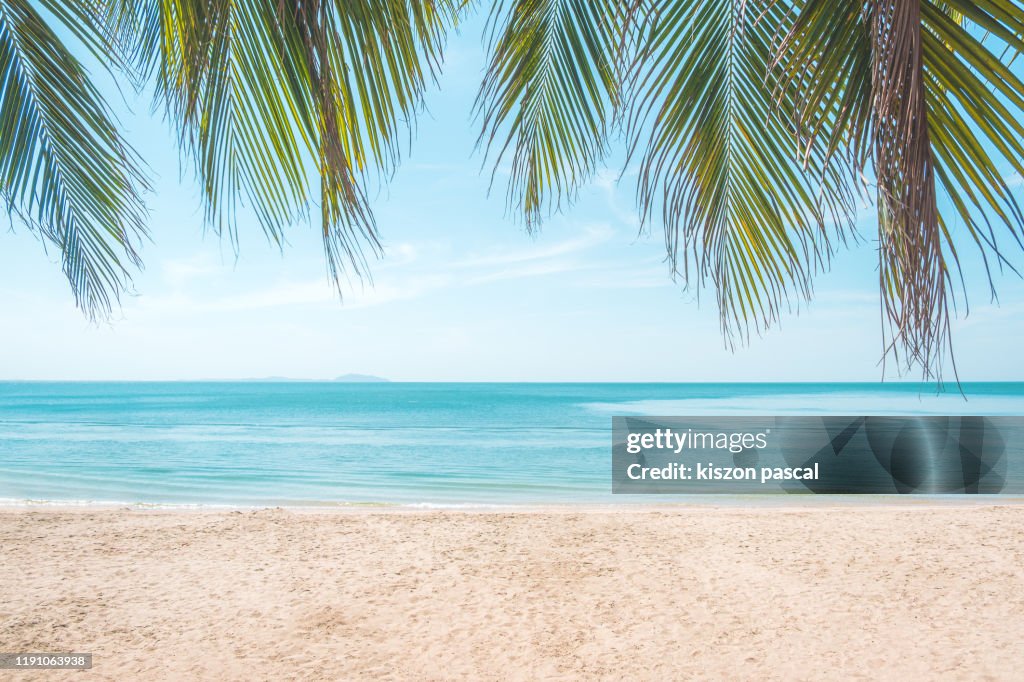 Tropical beach with palm trees during a sunny day .