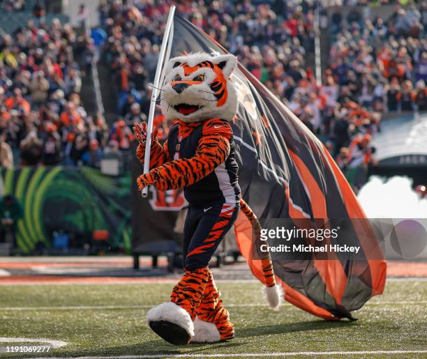 The Cincinnati Bengals mascot is seen before the game against the New England Patriots at Paul Brown Stadium on December 15, 2019 in Cincinnati, Ohio.