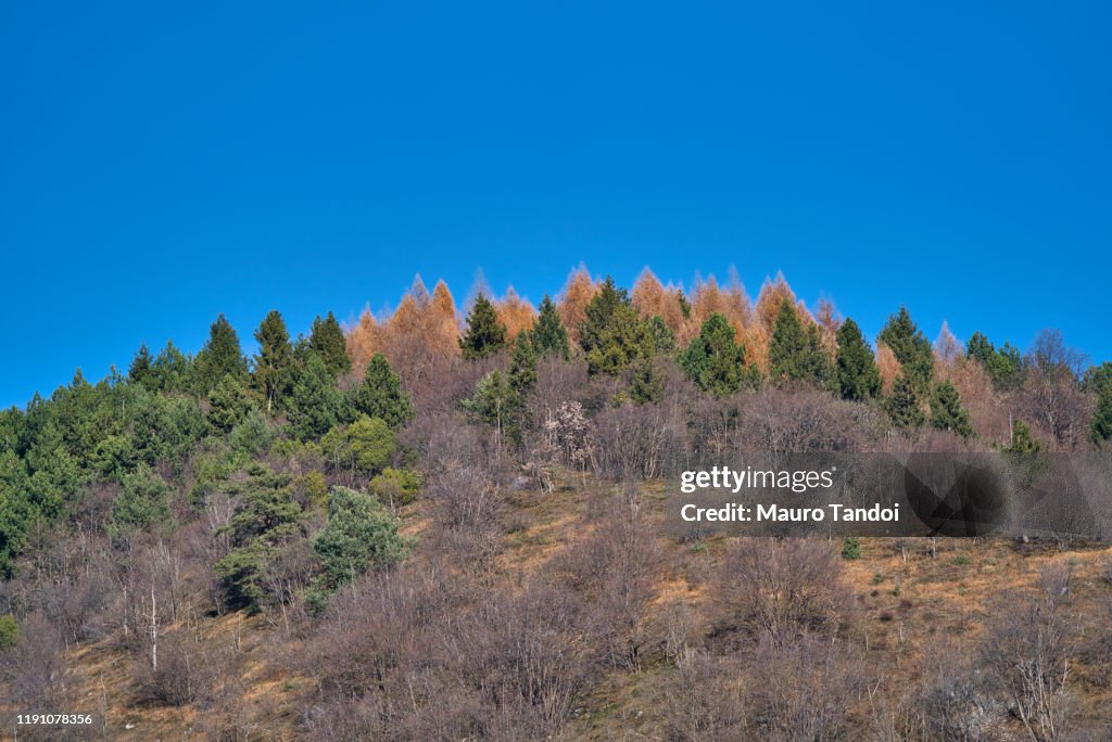 Beautiful autumn afternoon in mountains