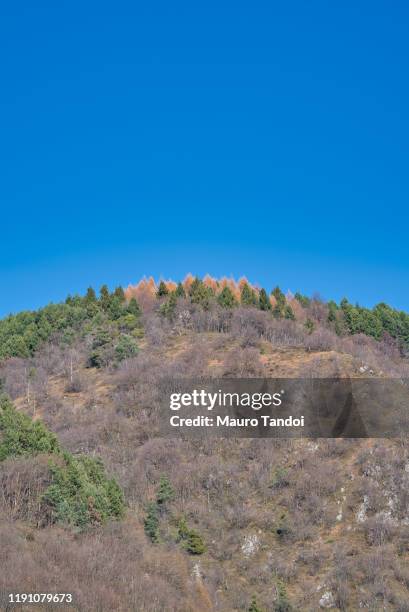 beautiful autumn afternoon in mountains - mauro tandoi foto e immagini stock