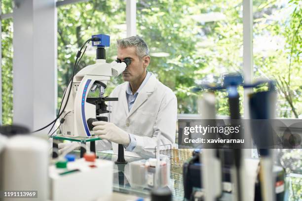 実験室で顕微鏡でサンプルを調べる男性病理学者 - urine sample ストックフォトと画像