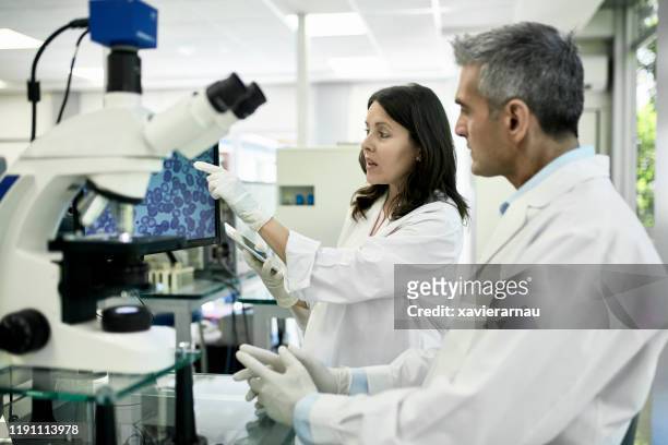 pathologists studying medical scan on computer display - pathologist stock pictures, royalty-free photos & images