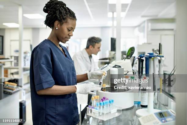年輕的非洲女性病理技術員在實驗室工作 - hematology 個照片及圖片檔
