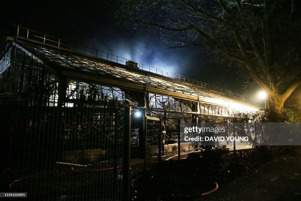 GERMANY-ZOO-ANIMALS-FIRE