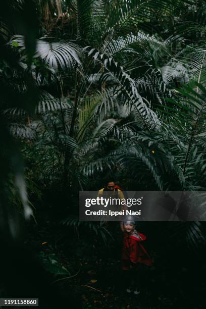 young girl and father hiking in dark jungle, iriomote island, okinawa, japan - insel iriomote stock-fotos und bilder