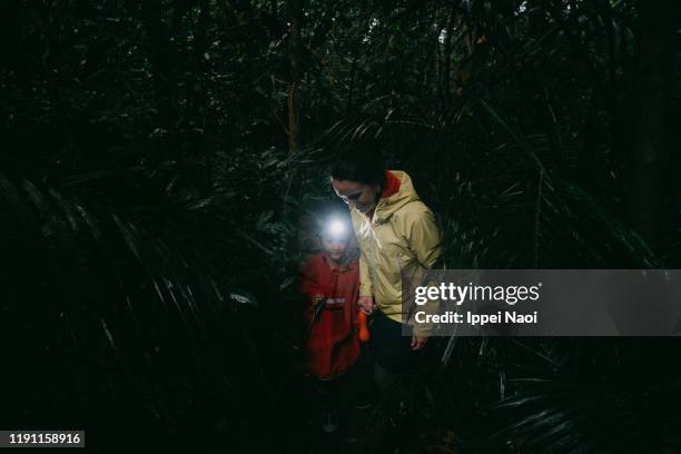 mother and child hiking through jungle at night, iriomote island, okinawa, japan - insel iriomote stock-fotos und bilder