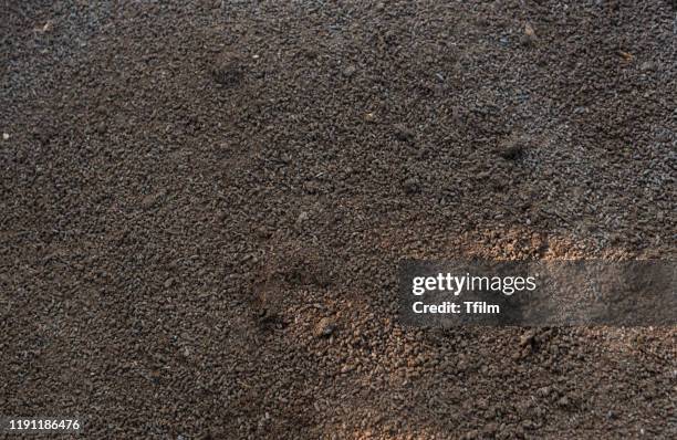 background texture of bat dung, bat droppings raw materials for fertilizer - guano stock pictures, royalty-free photos & images