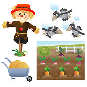 Color images of cartoon stuffed or scarecrow with crows on white background. Vegetable garden. Vector illustration set for kids.