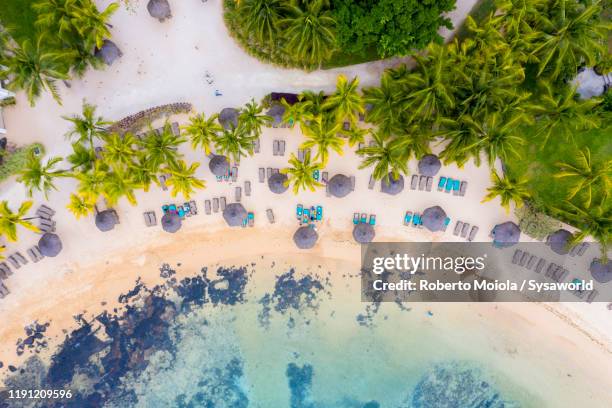 beach umbrella on tropical palm-fringed beach from above, mauritius - mauritius stockfoto's en -beelden