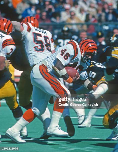 Fullback Pete Johnson of the Cincinnati Bengals runs with the football against the Pittsburgh Steelers during a game at Riverfront Stadium circa 1979...