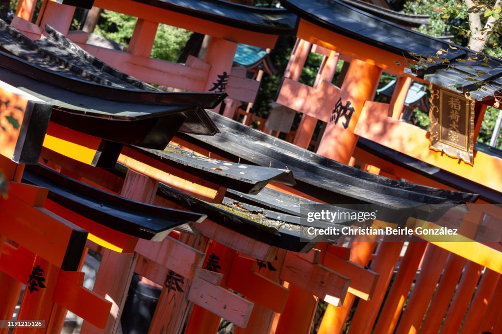 Fushimi Inari-Taisha Shrine