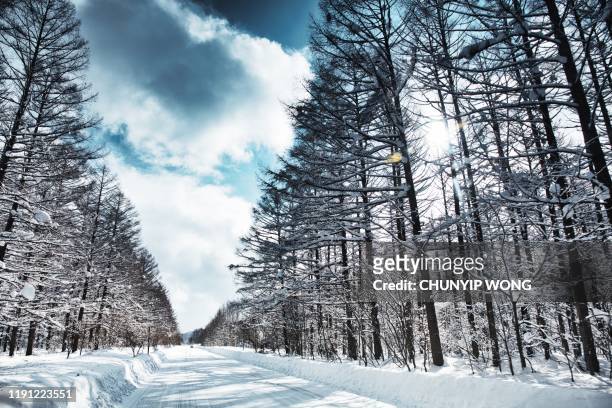 frozen road, biei hokaido, japan - snow covered road stockfoto's en -beelden