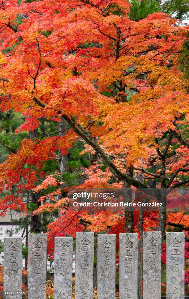 Danjo Garan, Mount Koyasan, Japan