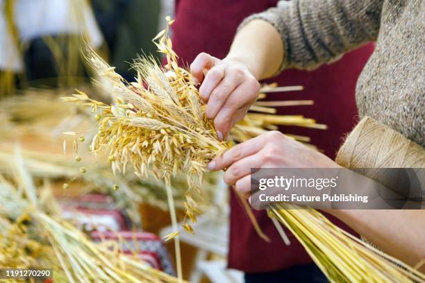 Ears of oat and wheat are tied together in a bunch during the Christmas didukh making workshop at the National Museum of Folk Architecture and Life...