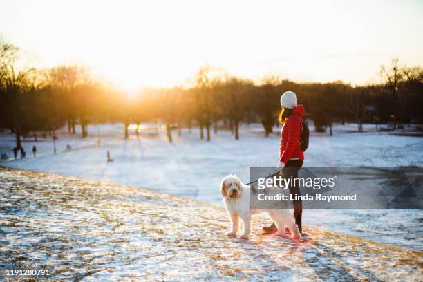 woman with her dog at sunset - winter stock pictures, royalty-free photos & images