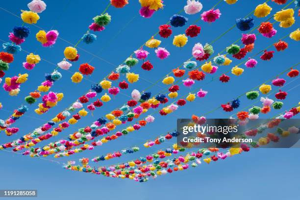 colorful flowers hanging over street in mexico - art festival fotografías e imágenes de stock